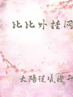 比比外挂网