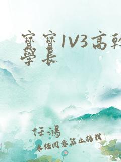 宝宝1V3高干学长