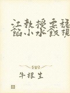 江教授要稳住肉馅小水饺视频