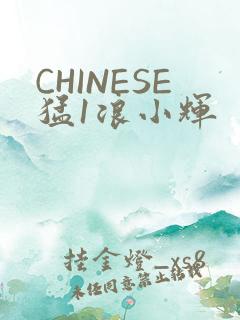 CHINESE猛1浪小辉