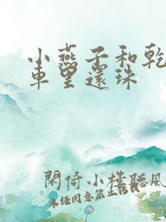 小燕子和乾隆在车里还珠