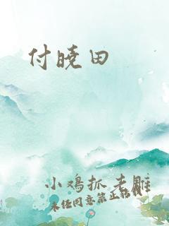 付晓田