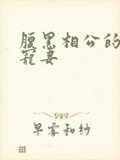 腹黑相公的庶女宠妻