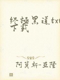 终极黑道txt下载