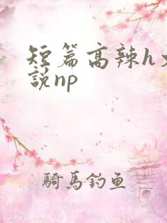 短篇高辣h文小说np