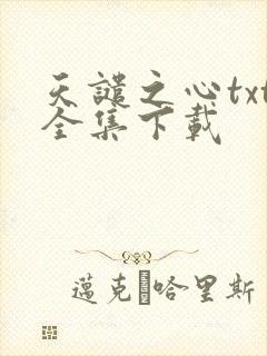 天谴之心txt全集下载