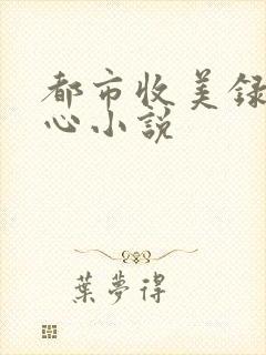 都市收美录宁素心小说