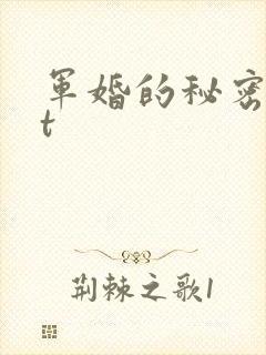 军婚的秘密txt