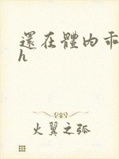 还在体内乖吃饭h