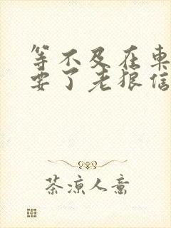 等不及在车里就要了老狼信息