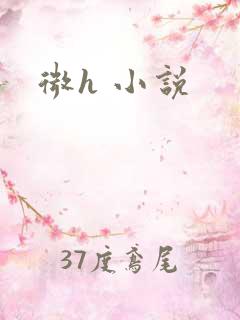微h 小说