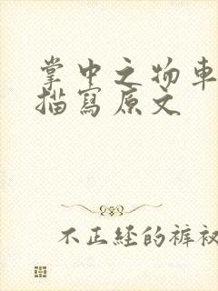 掌中之物车里震描写原文