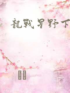 龙战星野下载