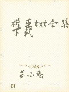 权臣txt全集下载