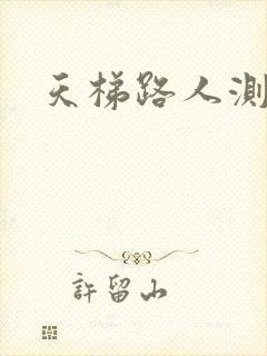 天梯路人测试器