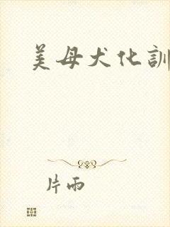 美母犬化训练