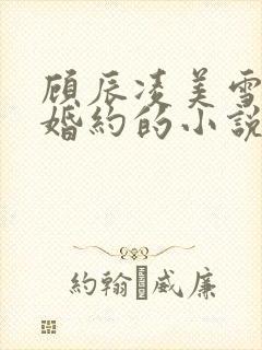 顾辰凌美雪五份婚约的小说名字叫什么