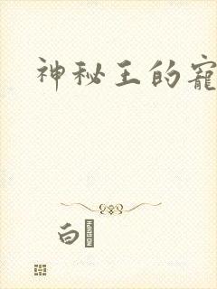 神秘王的宠姬