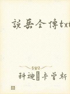 说岳全传txt