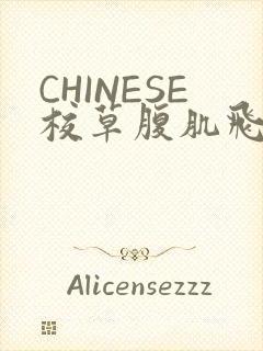 CHINESE校草腹肌飞机视频