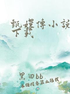 甄嬛传小说全集下载