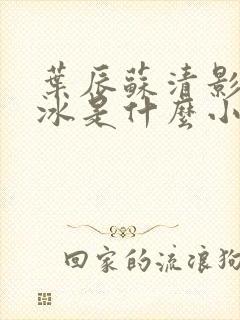 叶辰苏清影秦若冰是什么小说