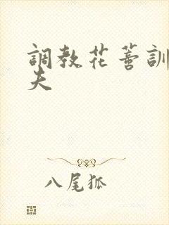 调教花蒂训诫从夫