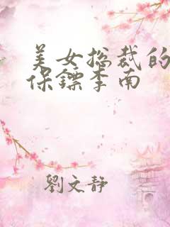 美女总裁的护花保镖李南