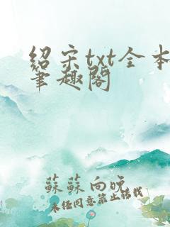 绍宋txt全本笔趣阁