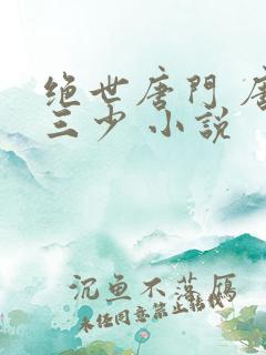 绝世唐门 唐家三少 小说
