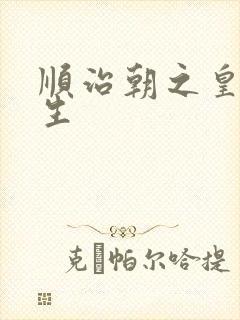 顺治朝之皇后重生