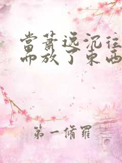 当萧逸沉往你里面放了东西小玩具