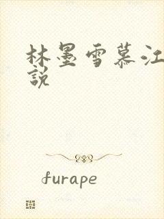 林墨雪慕江行小说