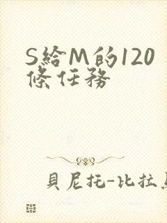 S给M的120条任务