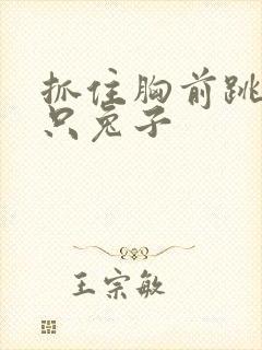 抓住胸前跳动两只兔子