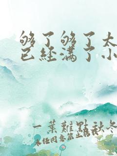 够了够了太多了已经满了小说