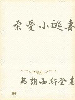 索爱小逃妻