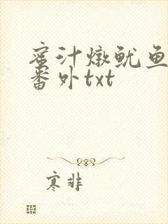 蜜汁炖鱿鱼全文番外txt