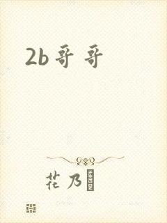 2b哥哥