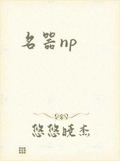 名器np