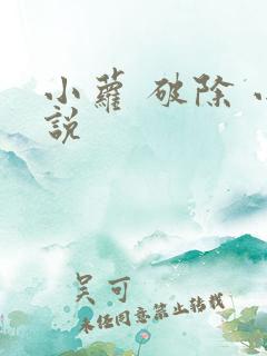 小萝 破除 小说