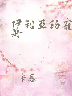 伊利亚的宠物手册