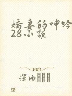 娇妻的呻吟1—28小说