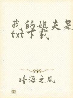 我的姐夫是太子txt下载