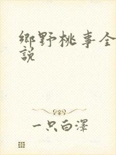 乡野桃事全文小说