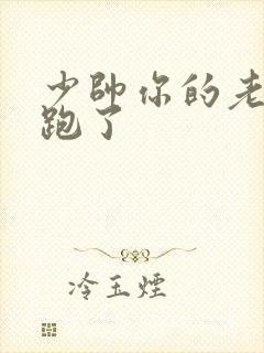 少帅你的老婆又跑了