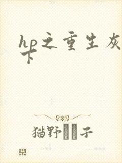 hp之重生灰猊下