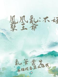 凤凰乱:不嫁妖孽王爷