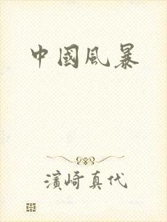 中国风暴