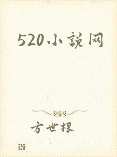 520小说网